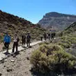 Tenerife field trip - hot day in the field in Mt Teide National Park