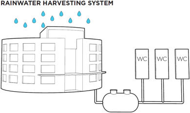 Rainwater harvesting system
