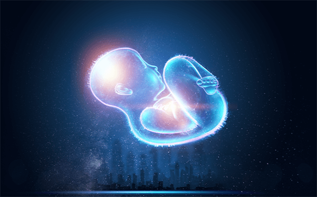 embrio graphic stock image