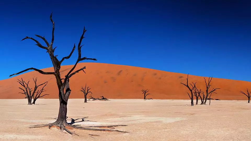Desert-Landscape-Wallpaper-HD