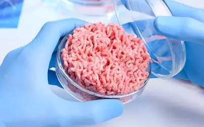 image of Meat grown from cells: companies clamour to put it on your plate