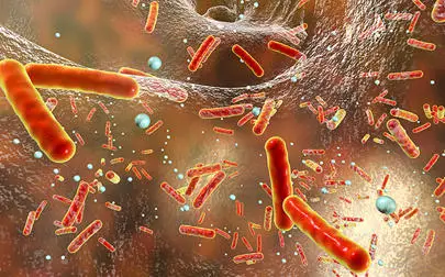 image of BBSRC New Investigator Award to tackle antibiotic resistant bacteria