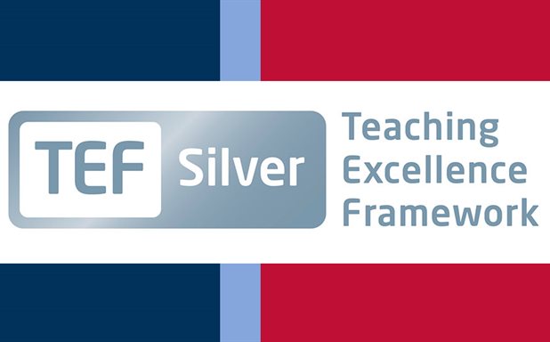image of Silver award for teaching and learning excellence at Brunel