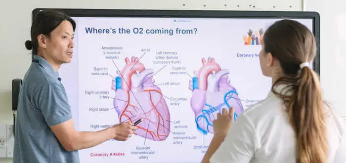 Male academic pointing to a scientific heart diagram on a white board