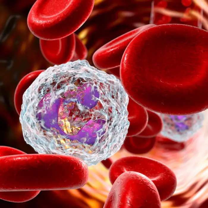 blood cells bio