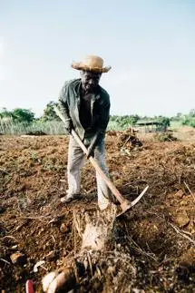 man farming a field