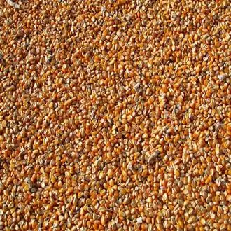 Grain spoilage reduction using analytics and sensors