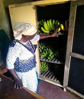 lady watching banana