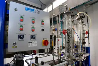 Bioprocess and Biopharmaceutical Engineering