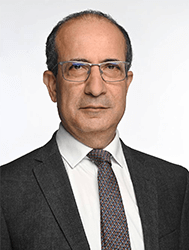 Professor Abdulnaser Sayma