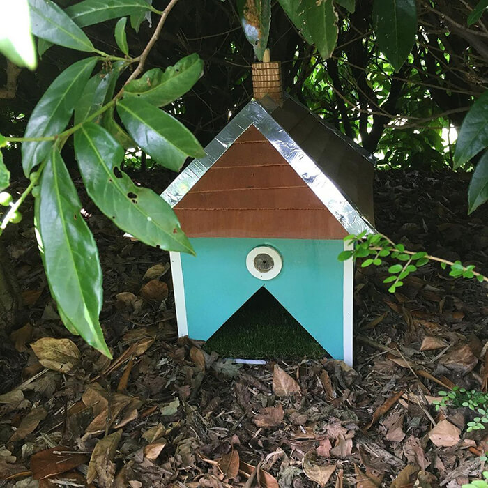 Hedgehog house on campus