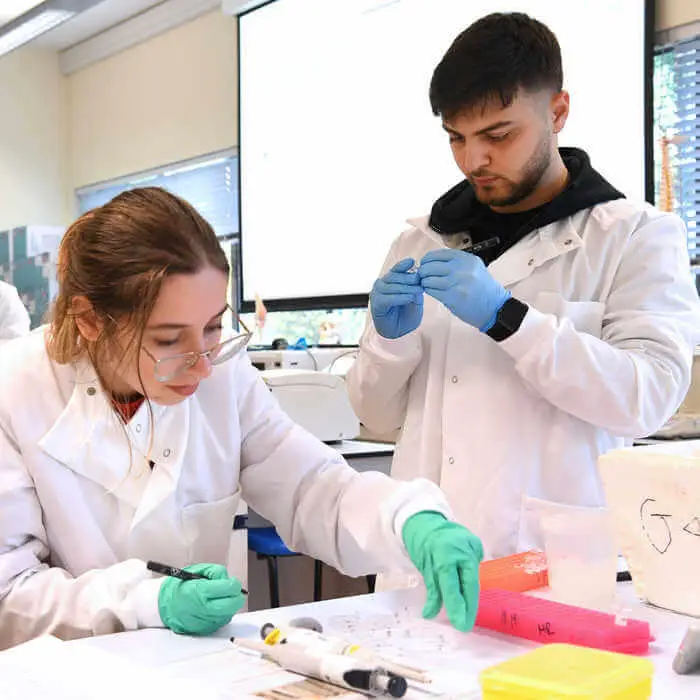 male and female biomedical sciences students in lab carrying out an experiment