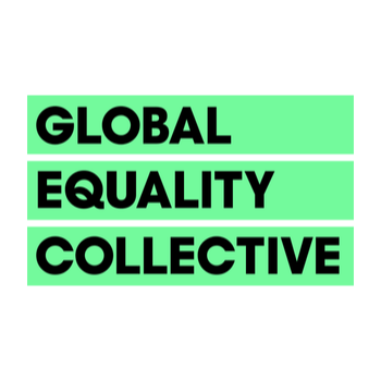 Global Equality Collective: Advancing Inclusive Education Through Research, Innovation and the RIEm Programme