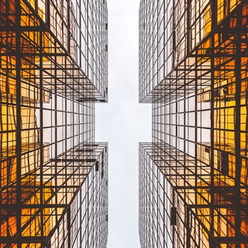 Strategy Entrepreneurship and International Business