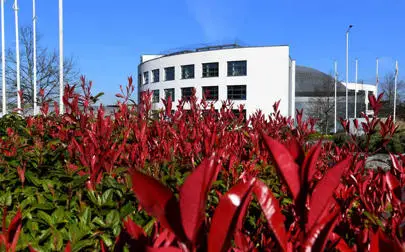 image of Erik Winzer gains 2nd Place in ETF Global Portfolio Challenge Competition.