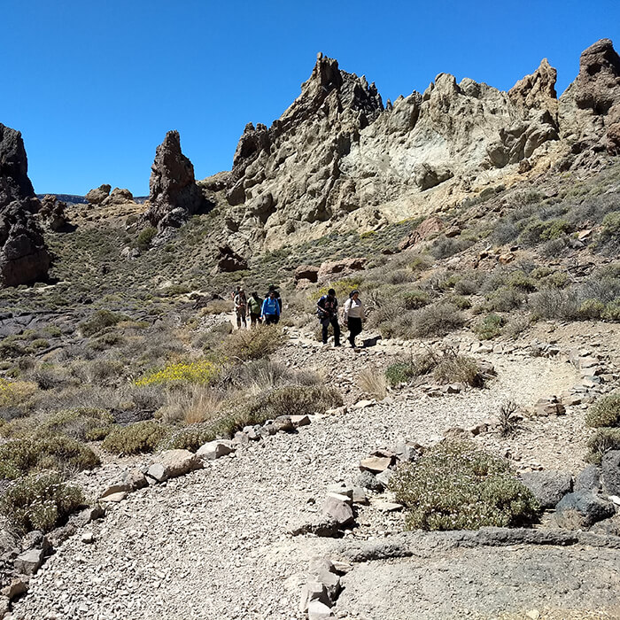 Environmental Sciences Field Trip - Tenerife