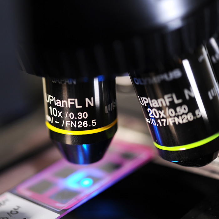 Institute of Health, Medicine and Environments