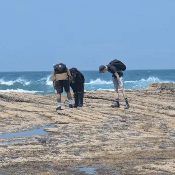 Geog-students-at-beach-box-image