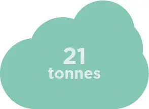 21 tonnes