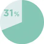 31%