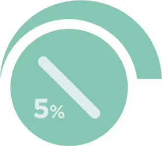 5%