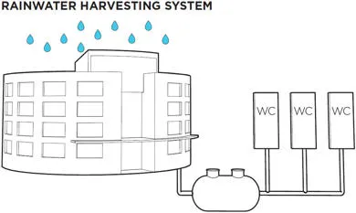 Rainwater harvesting system
