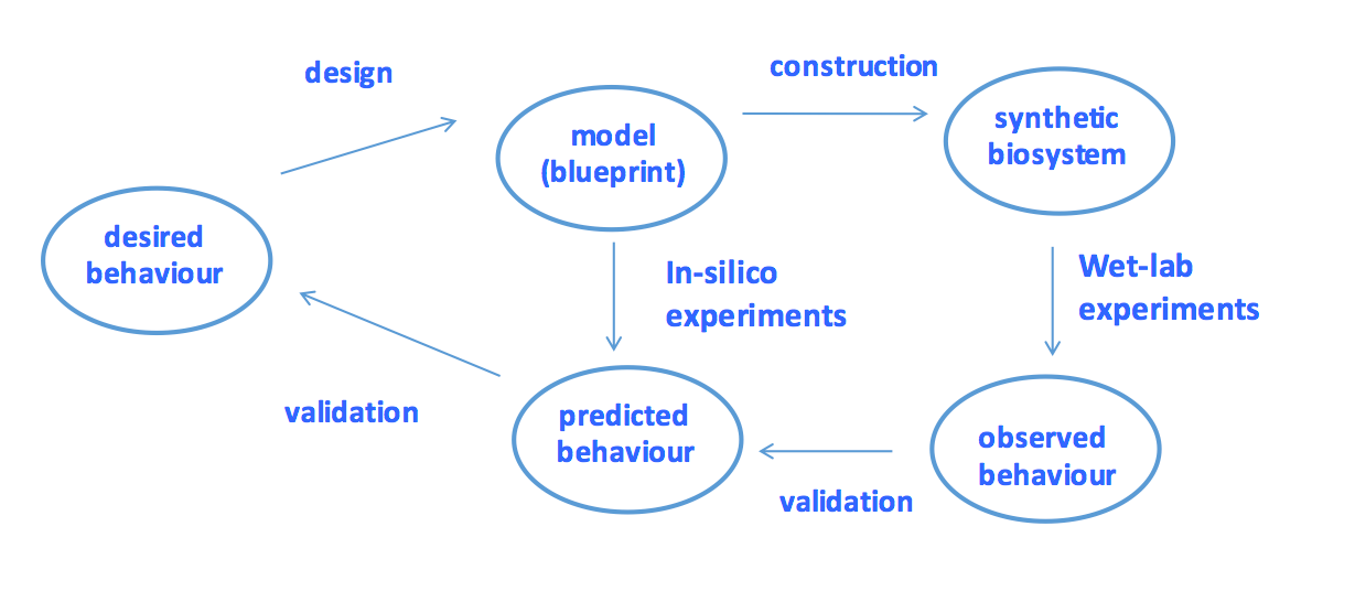 Computational, Mathematical & Statistical Synthetic Biology