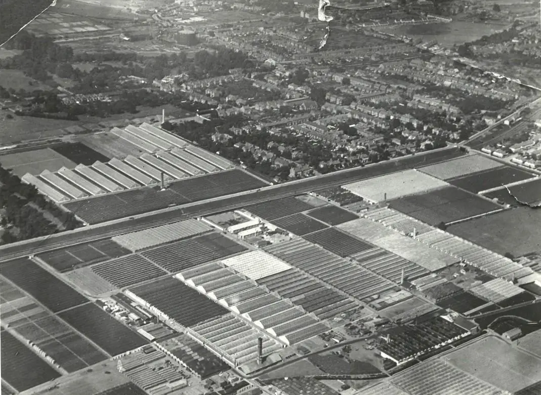 Aerial View of Nursery
