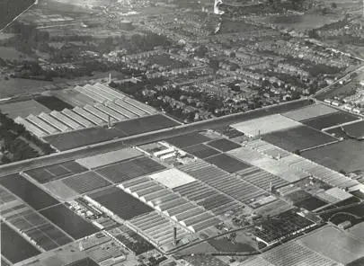 image of From Blooms to Brunel - Exploring the History of our Campus