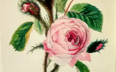 image of An early Christmas present for the Archives