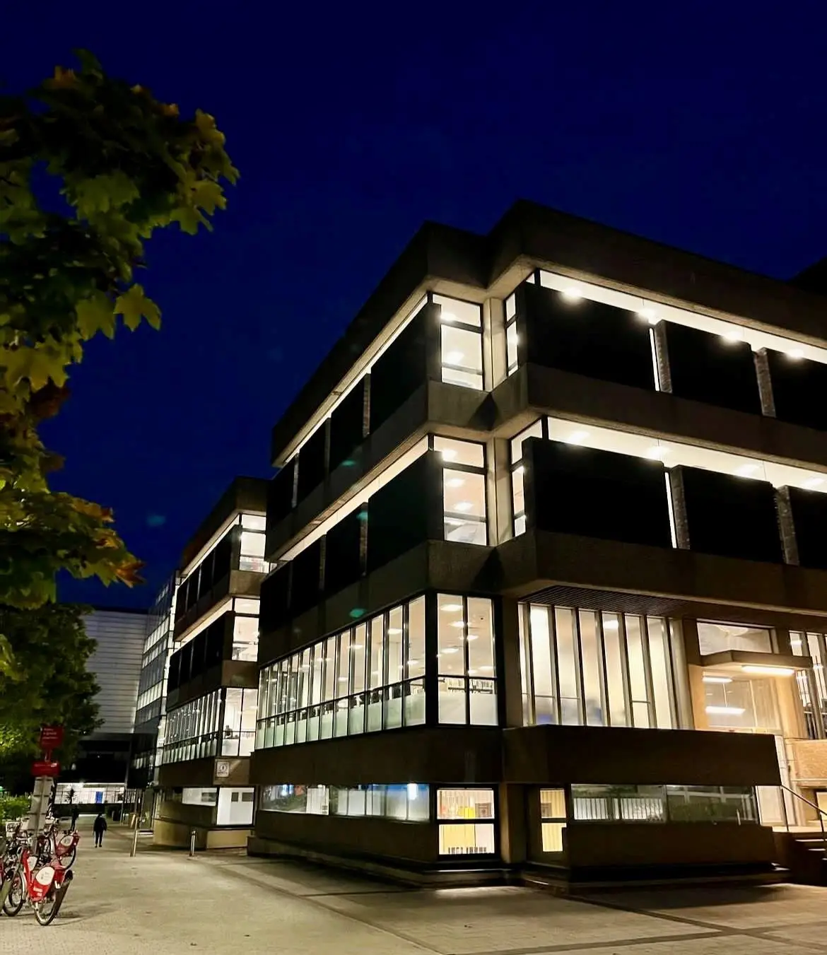 Library At Night