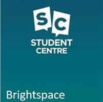 Brightspace1