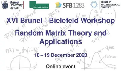 image of XVI Brunel-Bielefeld Workshop on RMT and Applications