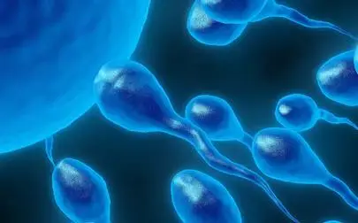 image of Fertility in the 21st Century: Sperm Health