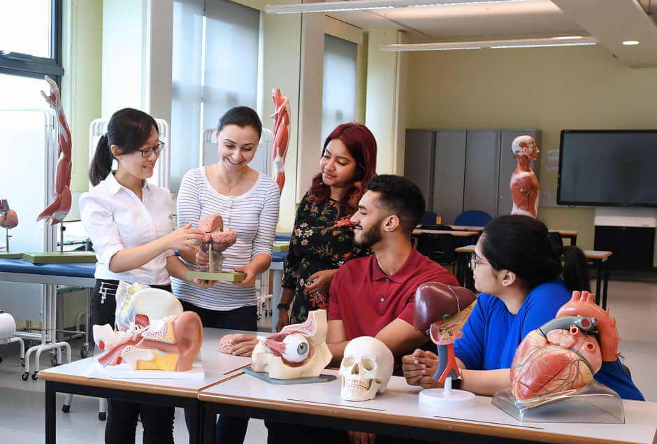 medicine students working with medical mannequin