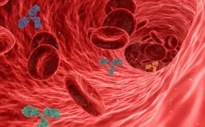 image of Showcasing the Research in the Centre for Inflammation Research and Translational Medicine