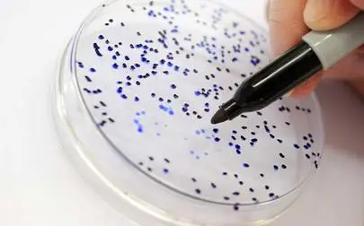 image of Lab Tours of Environmental Sciences and Biosciences Facilities