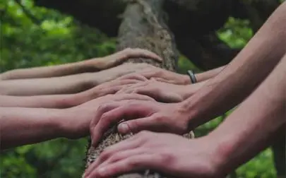 image of Widening Horizons: Education and Diversity