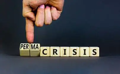 image of Navigating the Age of Permacrisis: Understanding and Responding to Constant Crisis