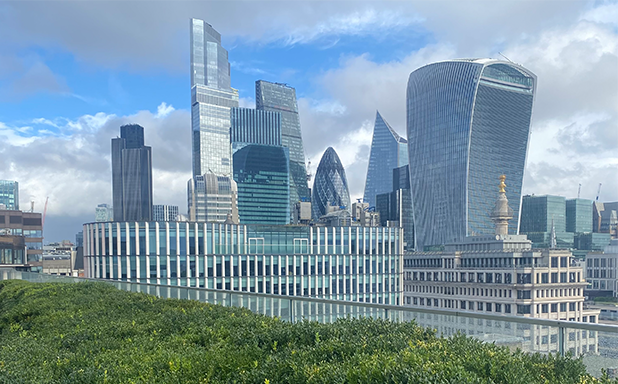 Brunel Summer Programme on International Arbitration