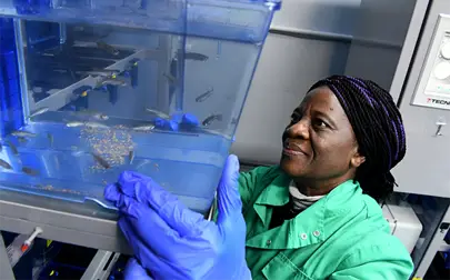 image of Brunel Research Showcase