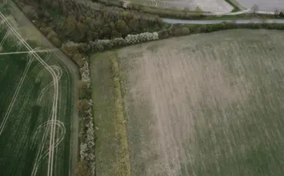 image of The UK's food system is built on keeping prices low – but this year's droughts show up its failings