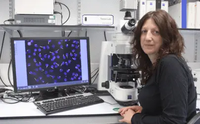 image of Found: protein that helps cancer spread – and could help scientists stop it