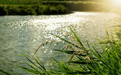 image of £2m project to track 'forever chemicals' in UK rivers