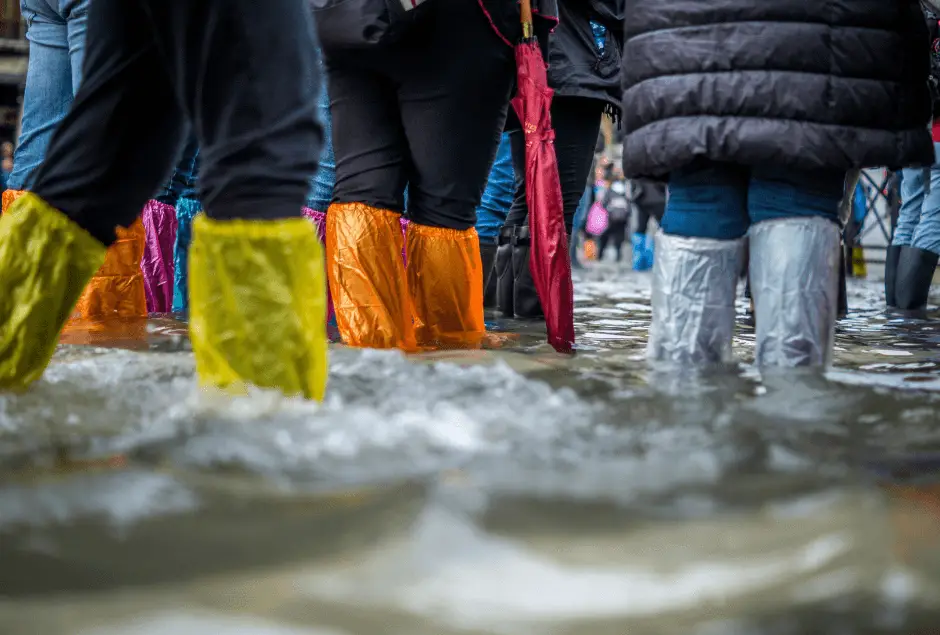 Climate-report-banner