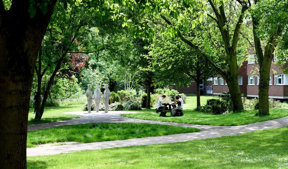 Green_Flag_2023_920x540