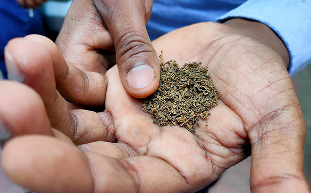 chewing tobacco pakistan Stopping smokeless tobacco could save India, Bangladesh and Pakistan $23bn  in lifetime healthcare costs, study shows