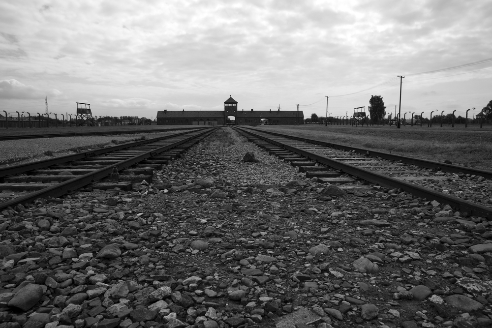 Historic Holocaust documentary is inspiration for Oscarnominated film