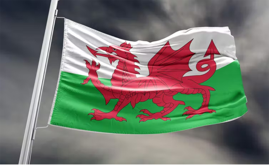 Wales rebrand IN1
