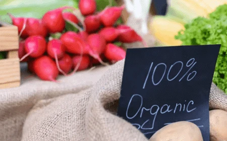 image of Choosing to buy organic food depends more on trust than taste – what our new study in the UK and Japan shows